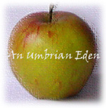 irisumbriablog